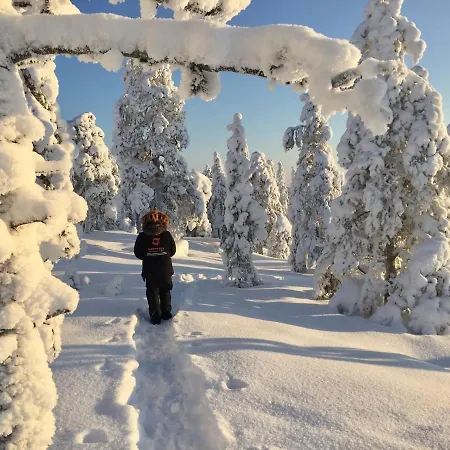 Blue Aurora Rovaniemi
